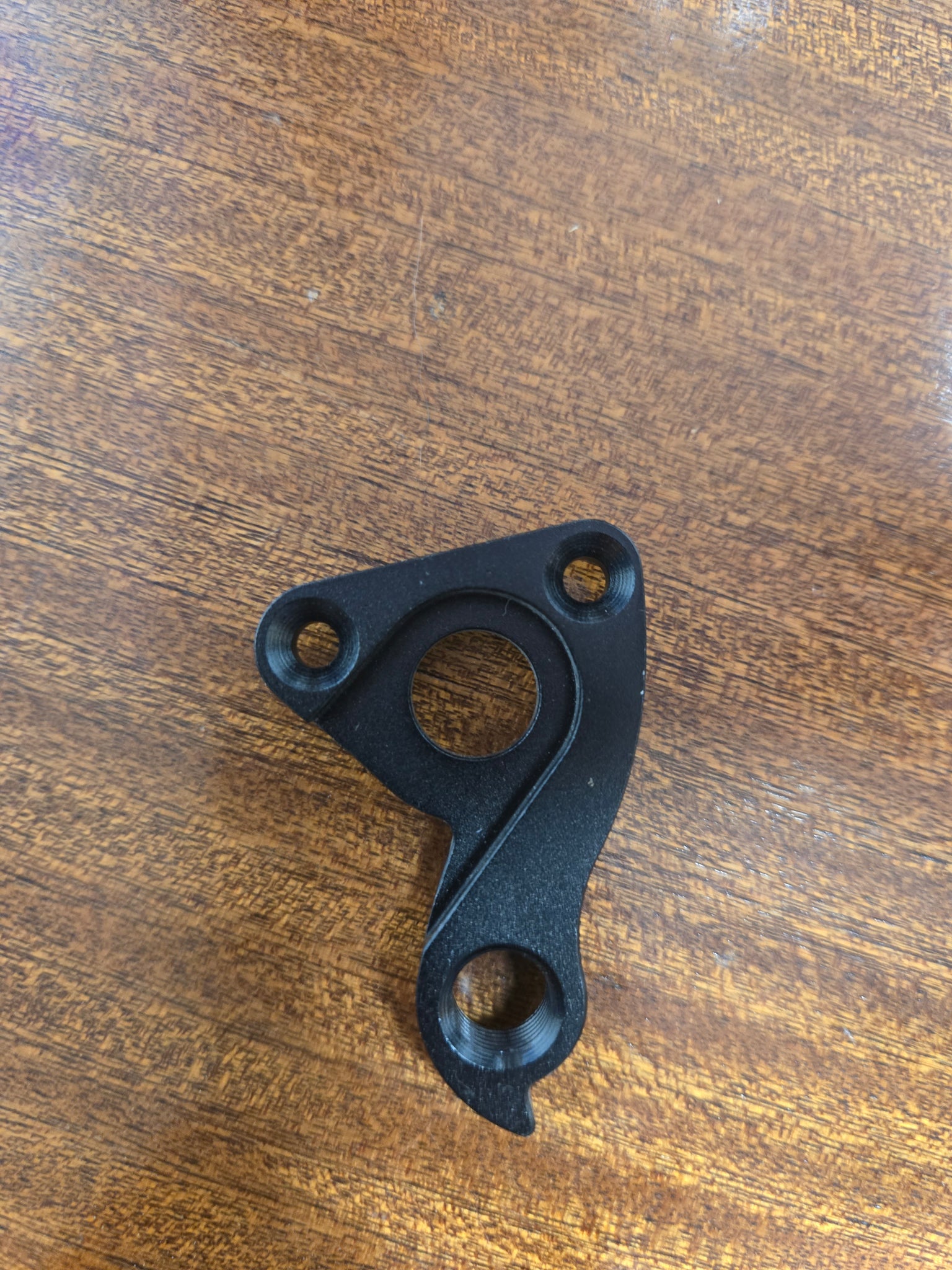 Roch Rear Derailleur Hanger