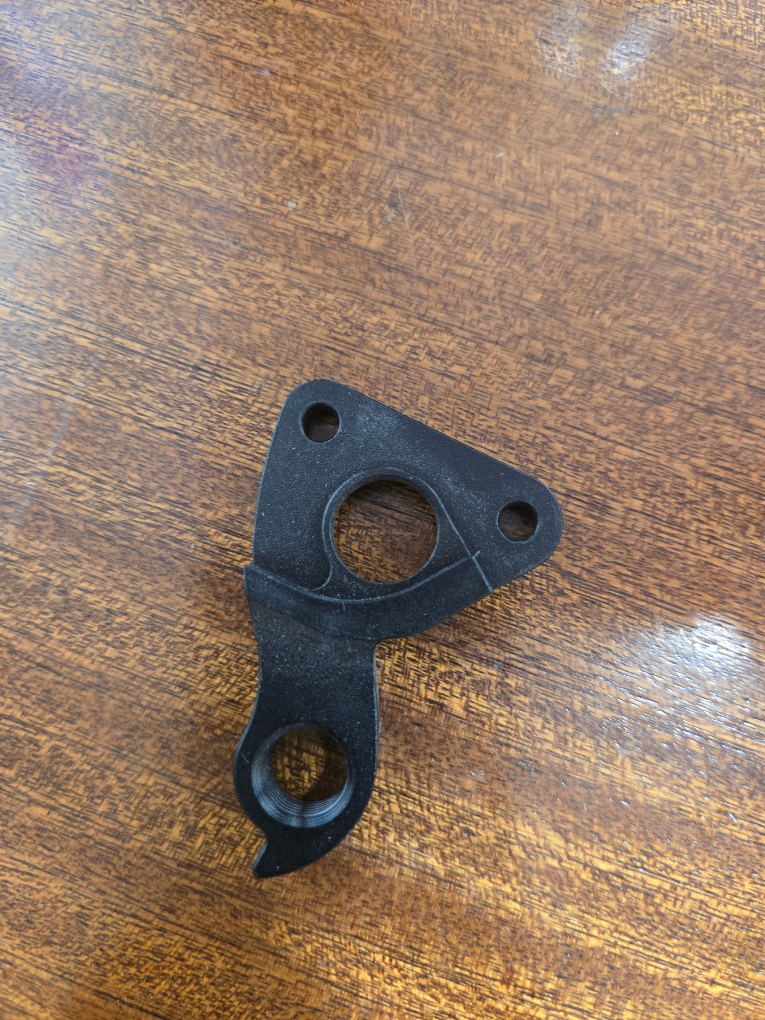 Roch Rear Derailleur Hanger